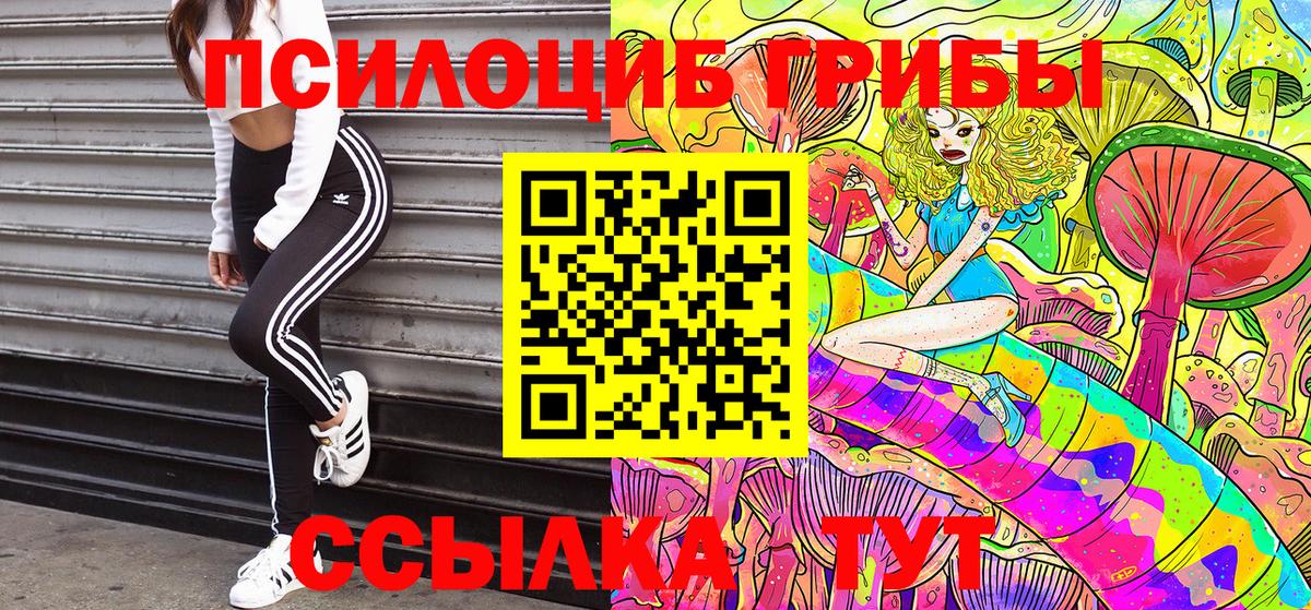 Галлюциногенные грибы Psilocybe Владикавказ