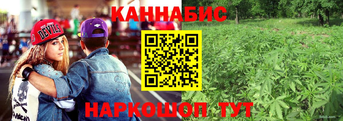 Конопля тримм  Каннабис конопля  Вход с VPN  Владикавказ 